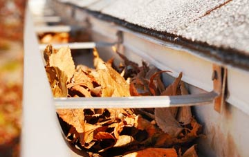 Hamaramore gutter cleaning companies